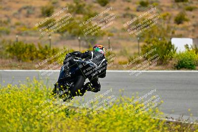 media/May-10-2024-2WTD (Fri) [[c88d7990af]]/Group B/Session 2-The Bowl/